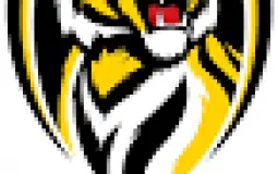Best AFL Teams